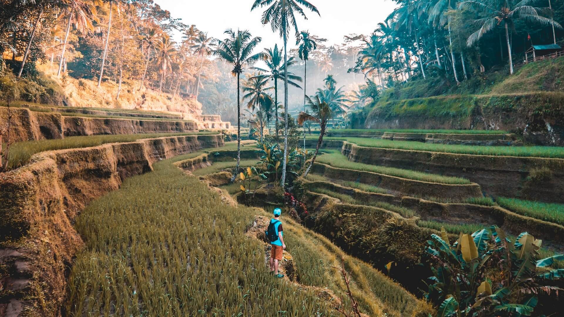 Bali